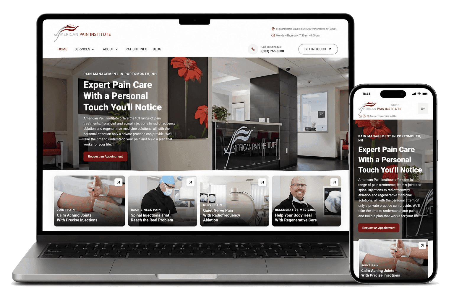 American Pain Institute